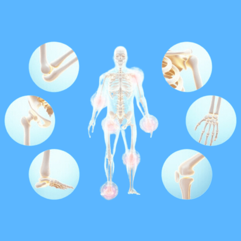 skeletal bnj